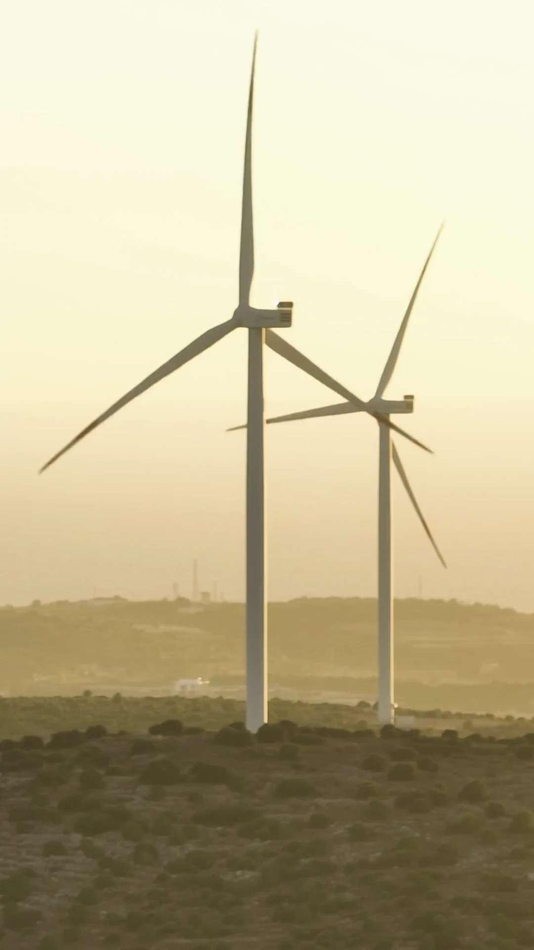 Windkraftanlagen im warmen Sonnenlicht